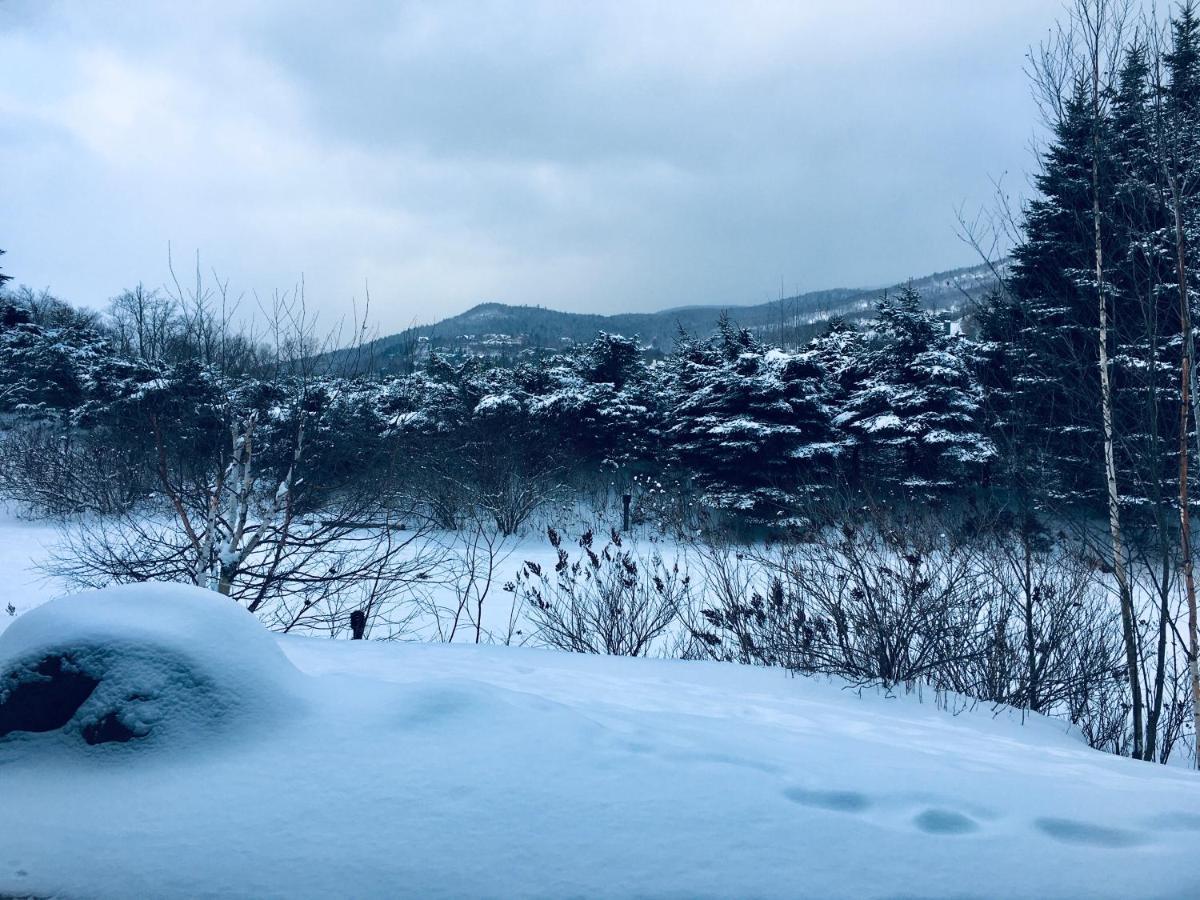 Le Boise Mont-Tremblant Apartment Ngoại thất bức ảnh